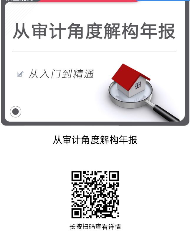 【课件】审计角度解构年报
