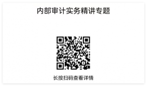 内审实务精讲专题 【课件】内部审计实务+案例·精讲